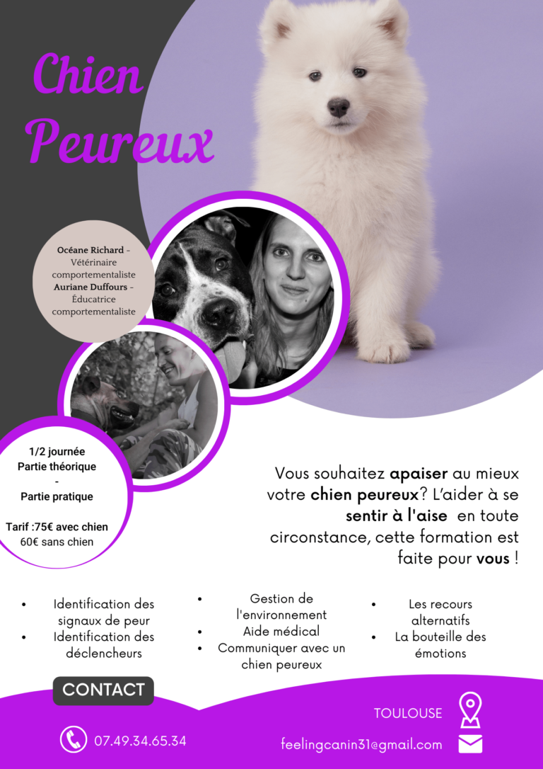 Atelier : Chiens Peureux​