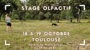 Stage Olfactif - Toulouse